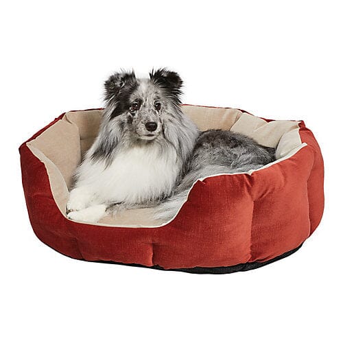 Midwest Homes Quite Time Deluxe Rounded Nesting Dog Bed