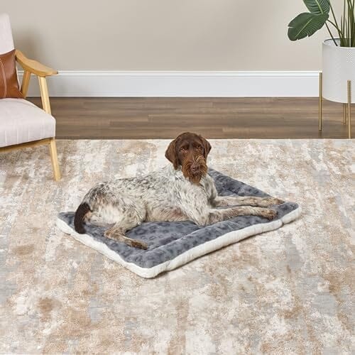 Midwest Homes Reversible Spotted Rectangular Dog Bed or Crate Mat - Gray - Image 8