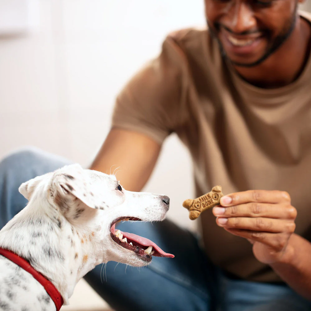 Milk-Bone Flavor Snacks for Small/Medium Dogs - Image 5