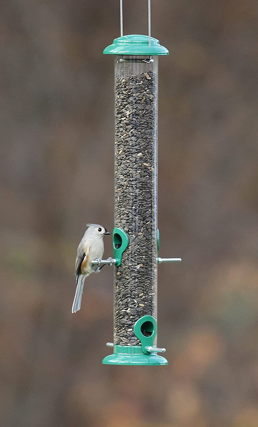 More Birds Metal Tube Seed Tubed Wild Bird Feeder - Green - 1.5 Lbs Cap - Image 3