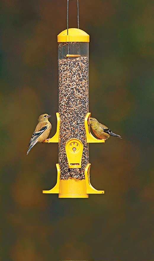 More Birds Tube Thistle Tubed Wild Bird Feeder - Yellow - 1.3 Lbs Cap - Image 2