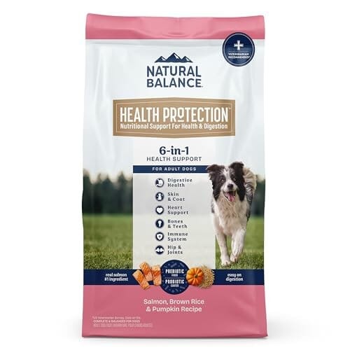 Natural Balance Health Protection Salmon Brown Rice Pumpkin Adult Dry Dog Food - 22 Lbs