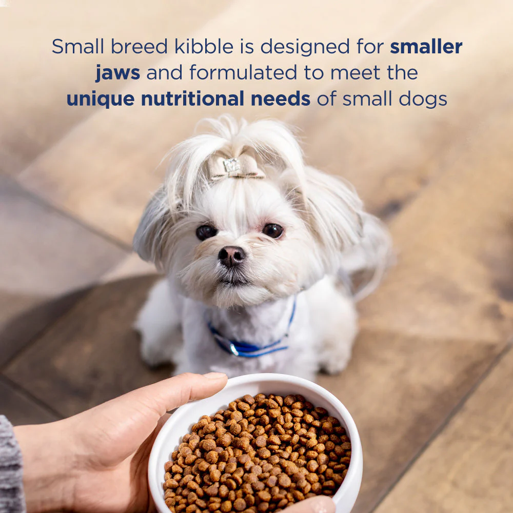 Natural Balance L.I.D. Limited Ingredient Diets Adult Maintenance Sweet Potato and Fish Small Breed Bites Dry Dog Food - Image 3