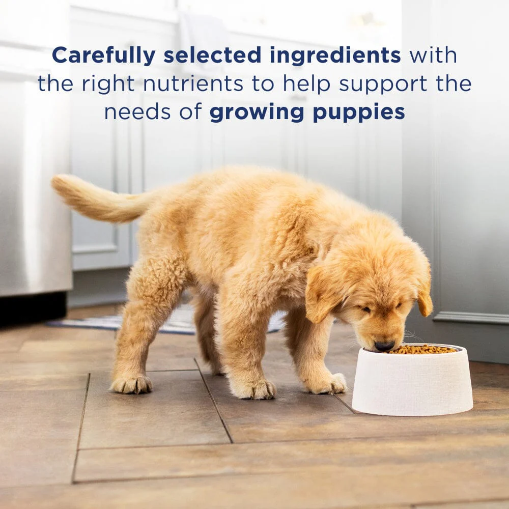 Natural Balance L.I.D. Limited Ingredient Diets Salmon & Brown Rice Puppy Formula Dry Dog Food - Image 3