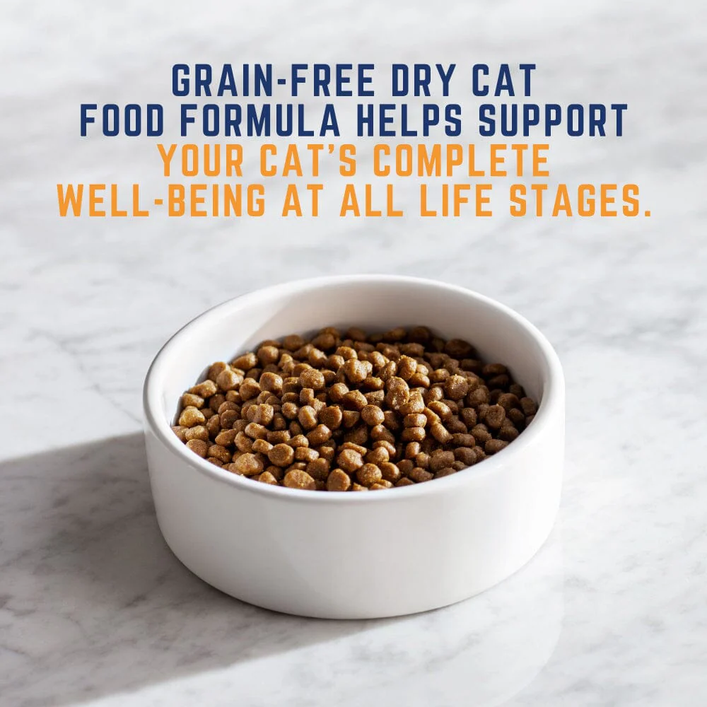Natural Balance Original Ultra Senior Chicken & Salmon Meal Dry Cat Food Formula - Image 3