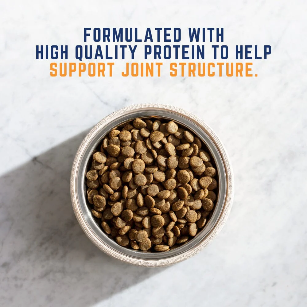 Natural Balance Zen Life Turkey & Barley Formula Dry Dog Food - Image 3