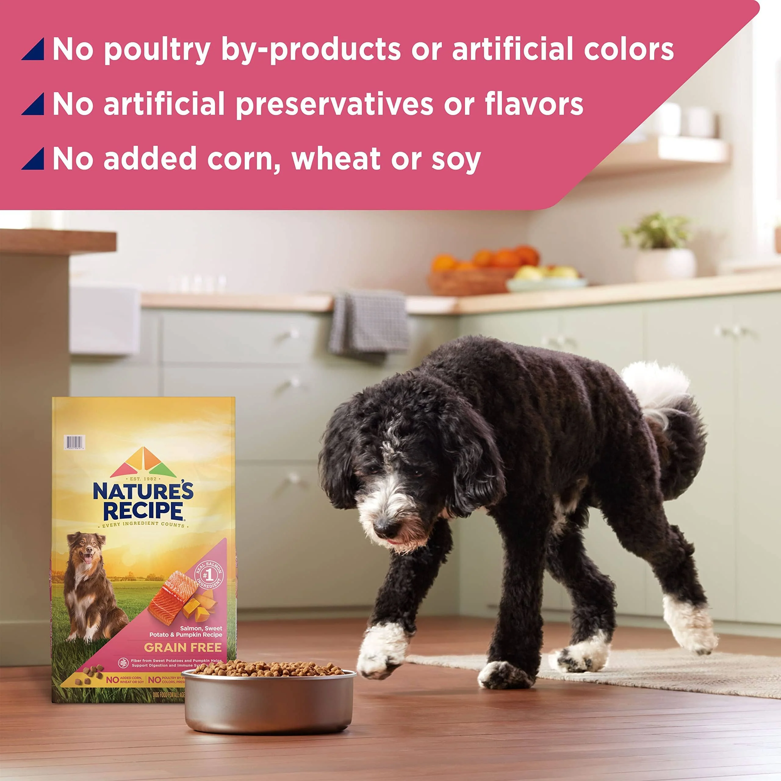Nature's Recipe Grain-Free Salmon Sweet Potato and Pumpkin Recipe Dry Dog Food - 4 Lbs - Case of 4 - Image 4