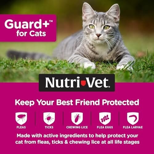Nutri-Vet Guard+ Waterproof Topical Cat Flea and Tick Prevention Treatment - Cats 1.5+ Lbs - 3 Monthly Dose - 90 Days - Image 3