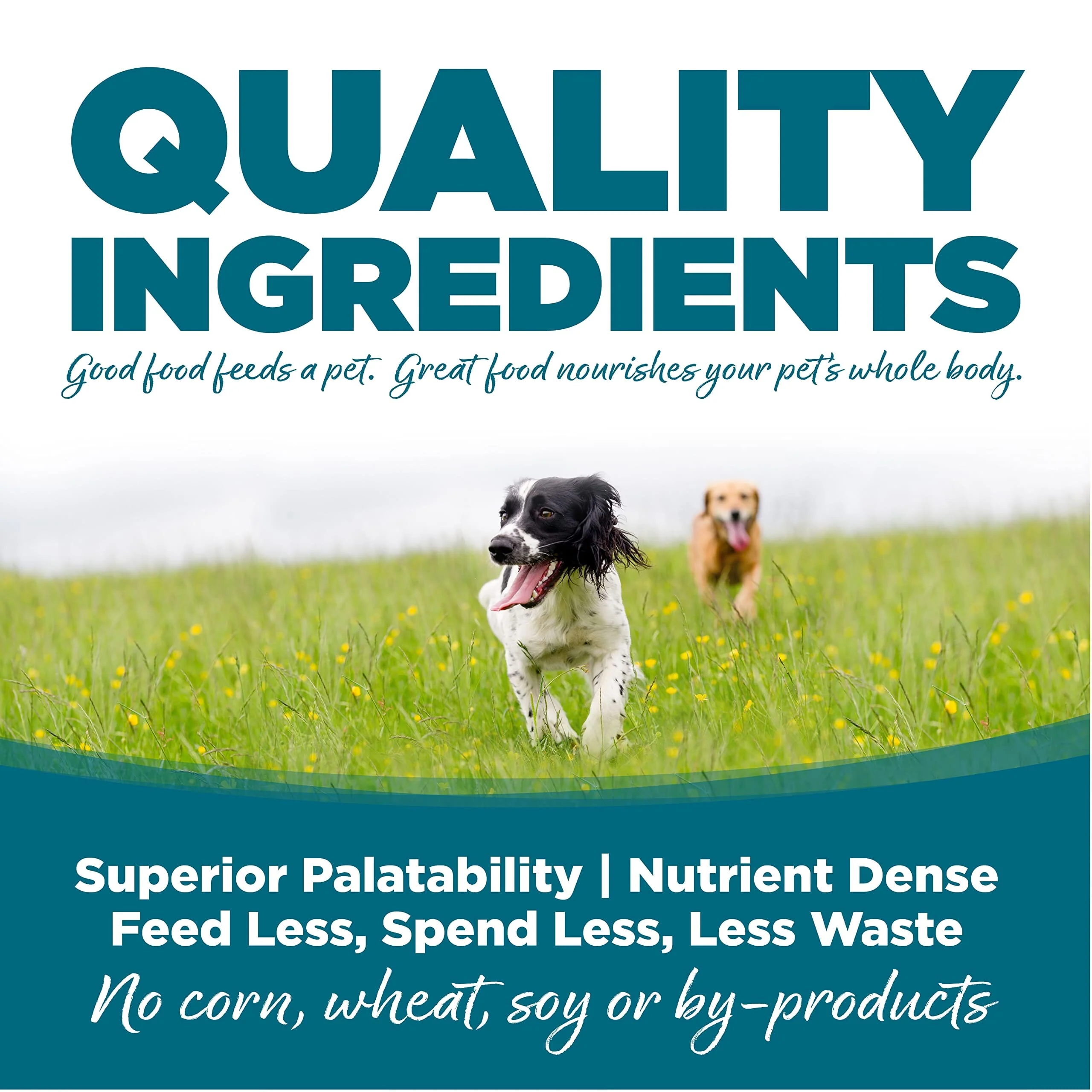 Nutrisource Chicken and Brown Rice Recipe Dry Dog Food - 26 Lbs - Image 3