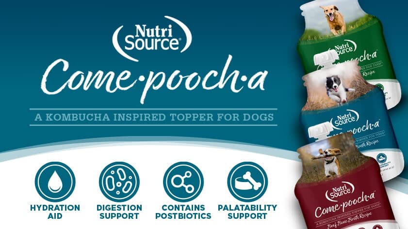 Nutrisource Come-Pooch-a Turkey Broth Dog Food Topper - 12 Oz - Image 5