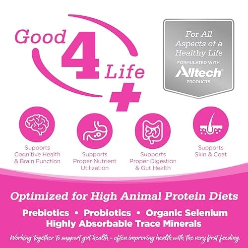 Nutrisource Element Series Scenic Meadow Grain-Free Turkey Duck and Rabbit Dry Cat Food - 4 Lbs - Image 2