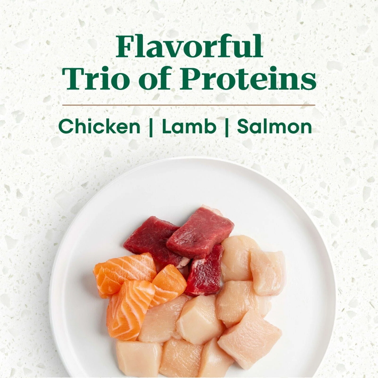 Nutro Ultra-High Protein Superfood Plate Chicken Lamb Salmon Toy-Breed Adult Dry Dog Food - 3.5 Lbs - Image 3