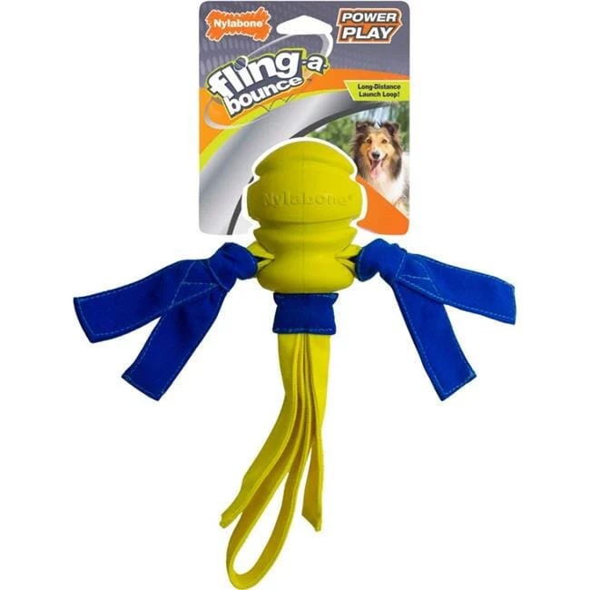 Nylabone Fling-a-Bounce Power Play Nylon and Rubber Fetch and Chew Interactive Dog Toy - Small