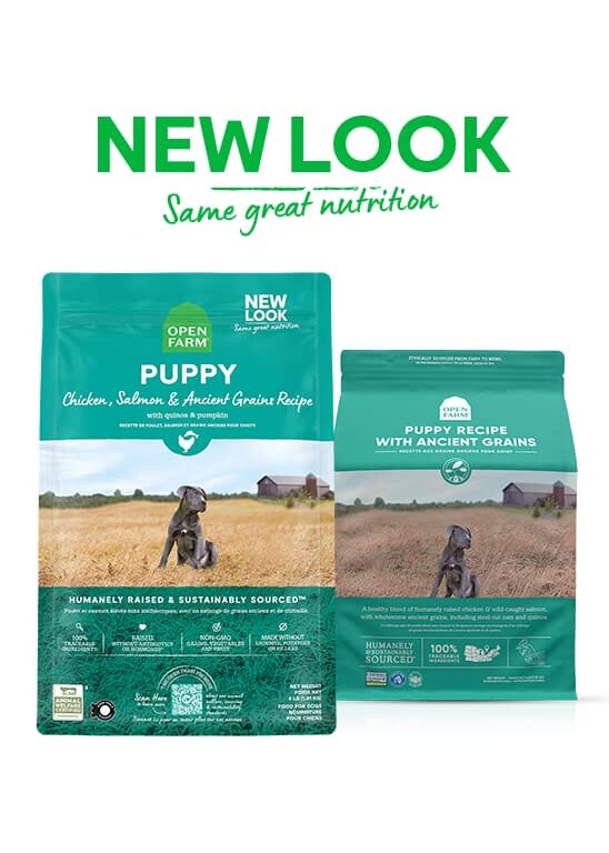 Open Farm Ancient Grain High-Protien Puppy Dry Dog Food - 22 Lbs - Image 3