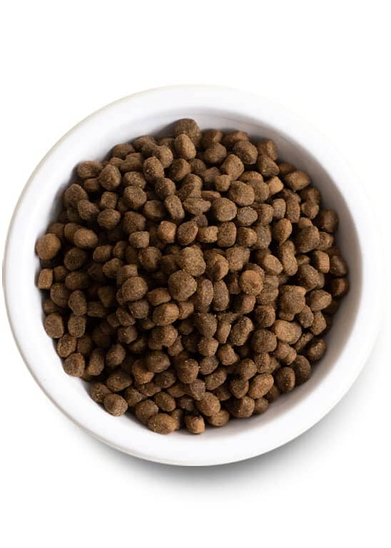 Open Farm Ancient Grain High-Protien Puppy Dry Dog Food - 22 Lbs - Image 5