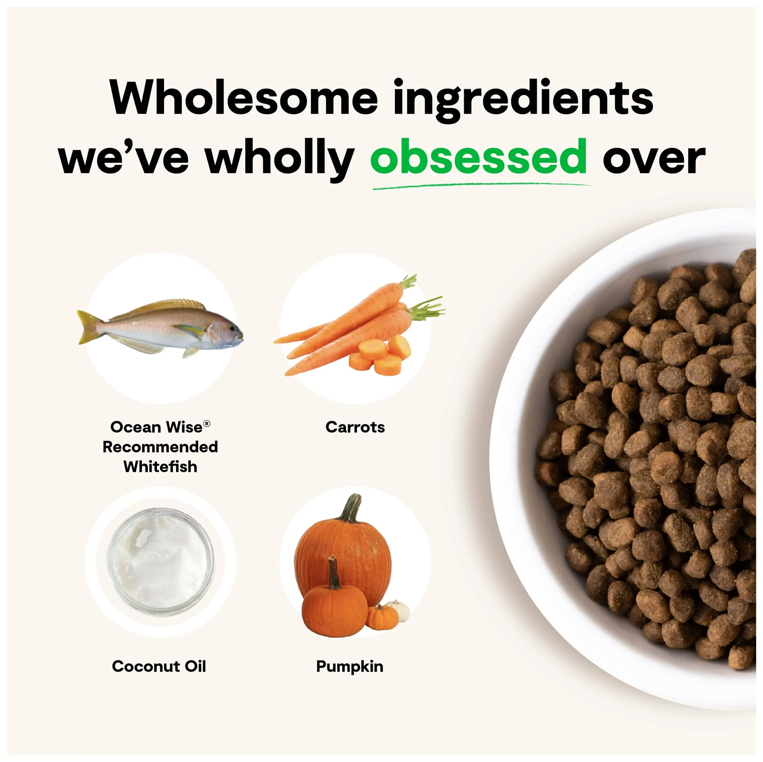 Open Farm Catch of Season Grain-Free Whitefish Recipe Dry Dog Food - 4 Lbs - Image 5