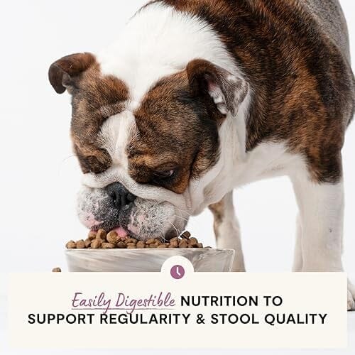 Open Farm Digestive Health Wild-Alaskan Pollock and Oatmeal with Probiotics Dry Dog Food - 22 Lbs - Image 3