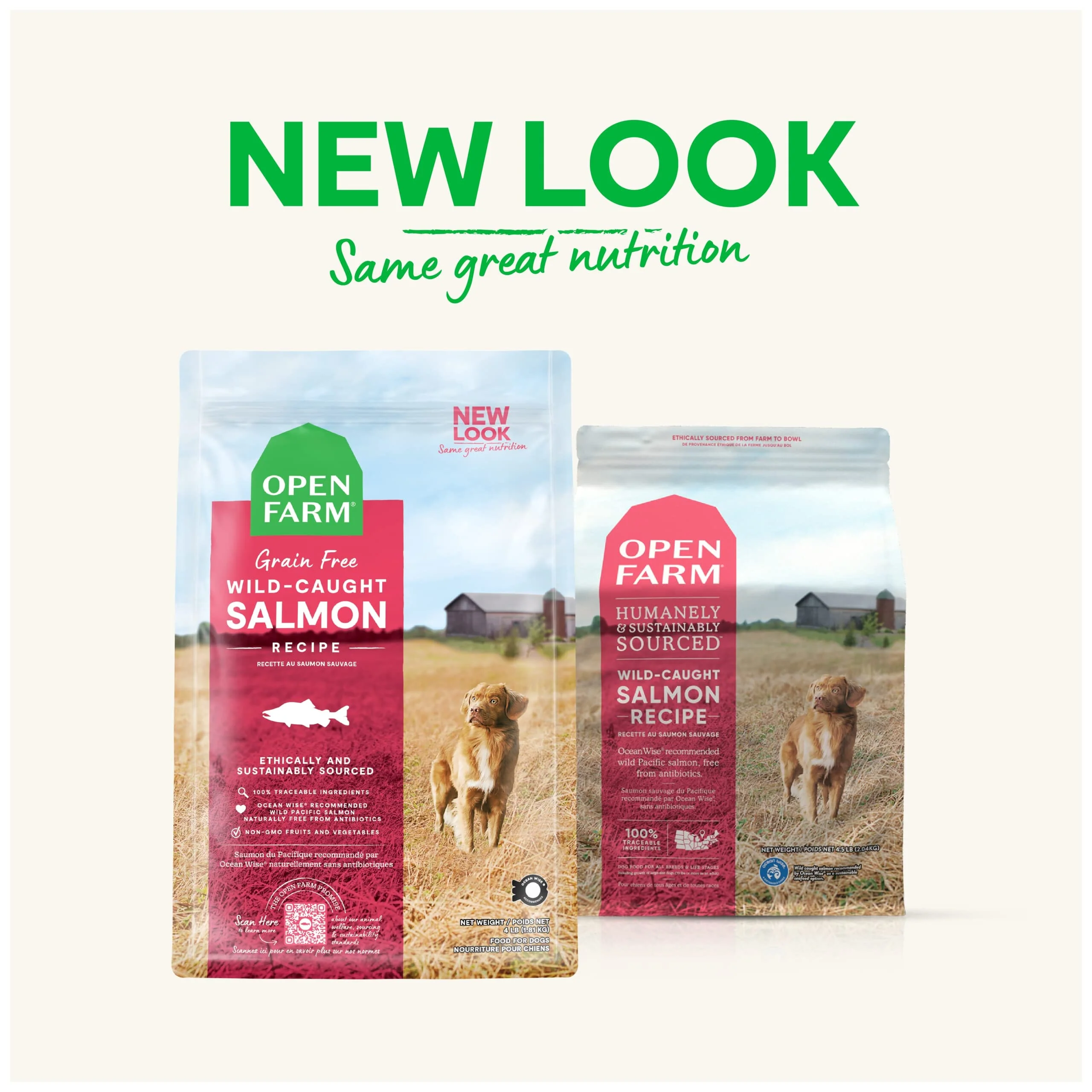 Open Farm Grain-Free Wild-Caught Salmon Dry Dog Food - 22 Lbs - Image 2