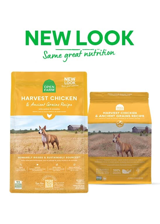 Open Farm Harvest Chicken and Ancient Grains Dry Dog Food - 22 Lbs - Image 2