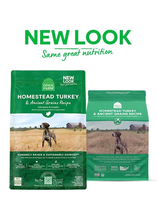 Open Farm Homestead Turkey and Ancient Grains Dry Dog Food - 22 Lbs - Image 2