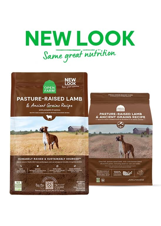 Open Farm Pasture-Raised Lamb and Ancient Grains Recipe Dry Dog Food - 22 Lbs - Image 2