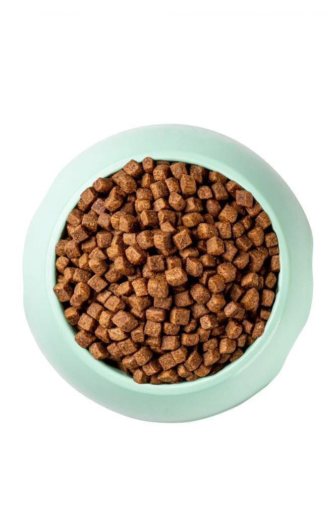 Optimeal Indoor Health Chicken & Brown Rice Recipe Adult Cat Dry Food - Image 4