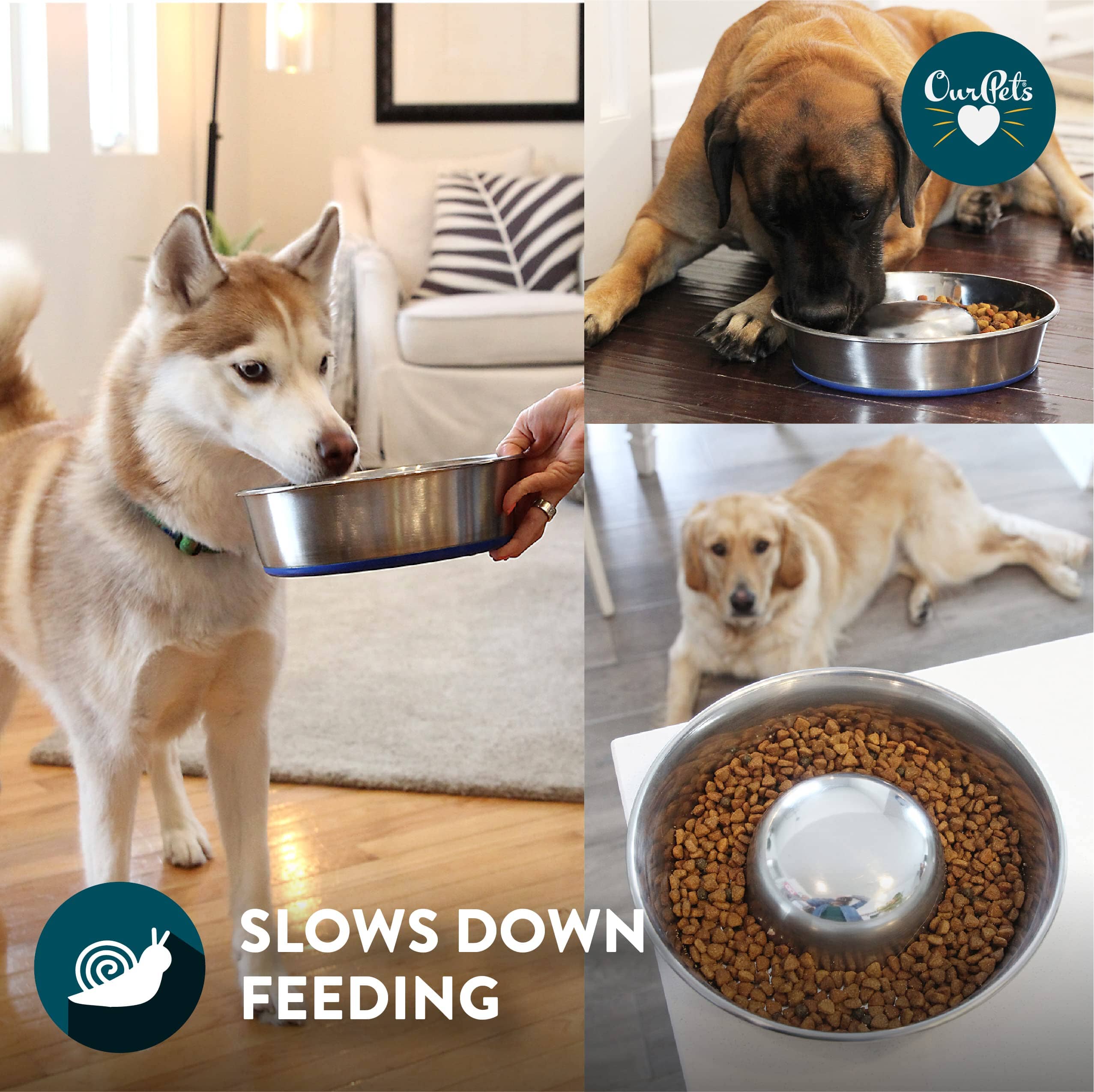 OurPets Durapet Anti-Skid Rubber Bonded Stainless Steel Slow Feeding Cat Bowl - Large - 56 Oz - Image 3