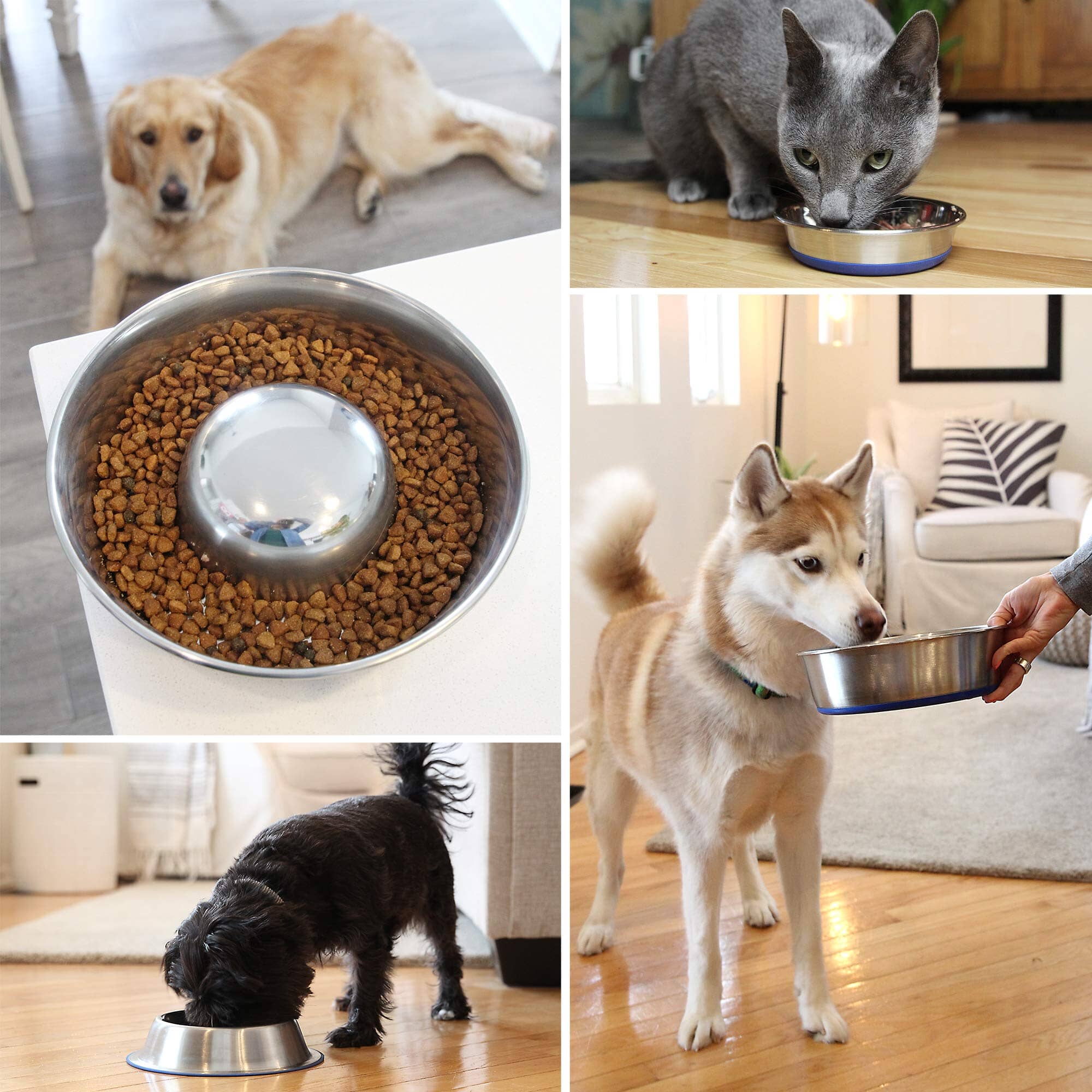 OurPets Durapet Anti-Skid Rubber Bonded Stainless Steel Slow Feeding Cat Bowl - Large - 56 Oz - Image 7