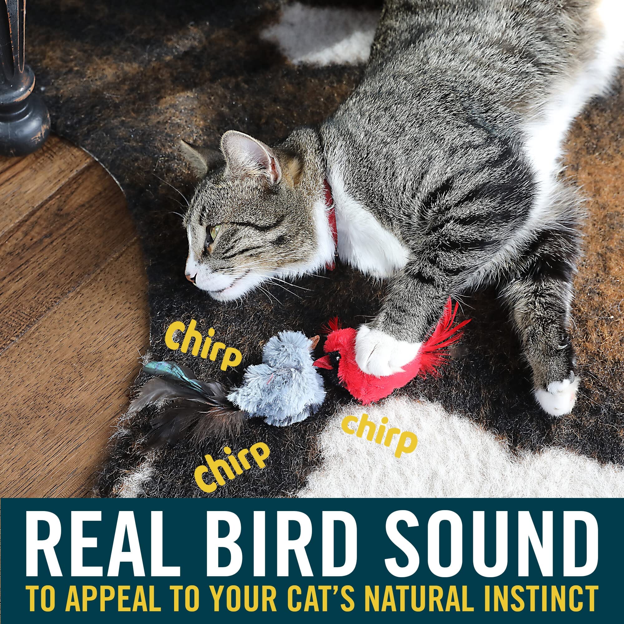 OurPets Play N' Squeak Special Sparrow Squeak and Plush Cat Toy - Image 4