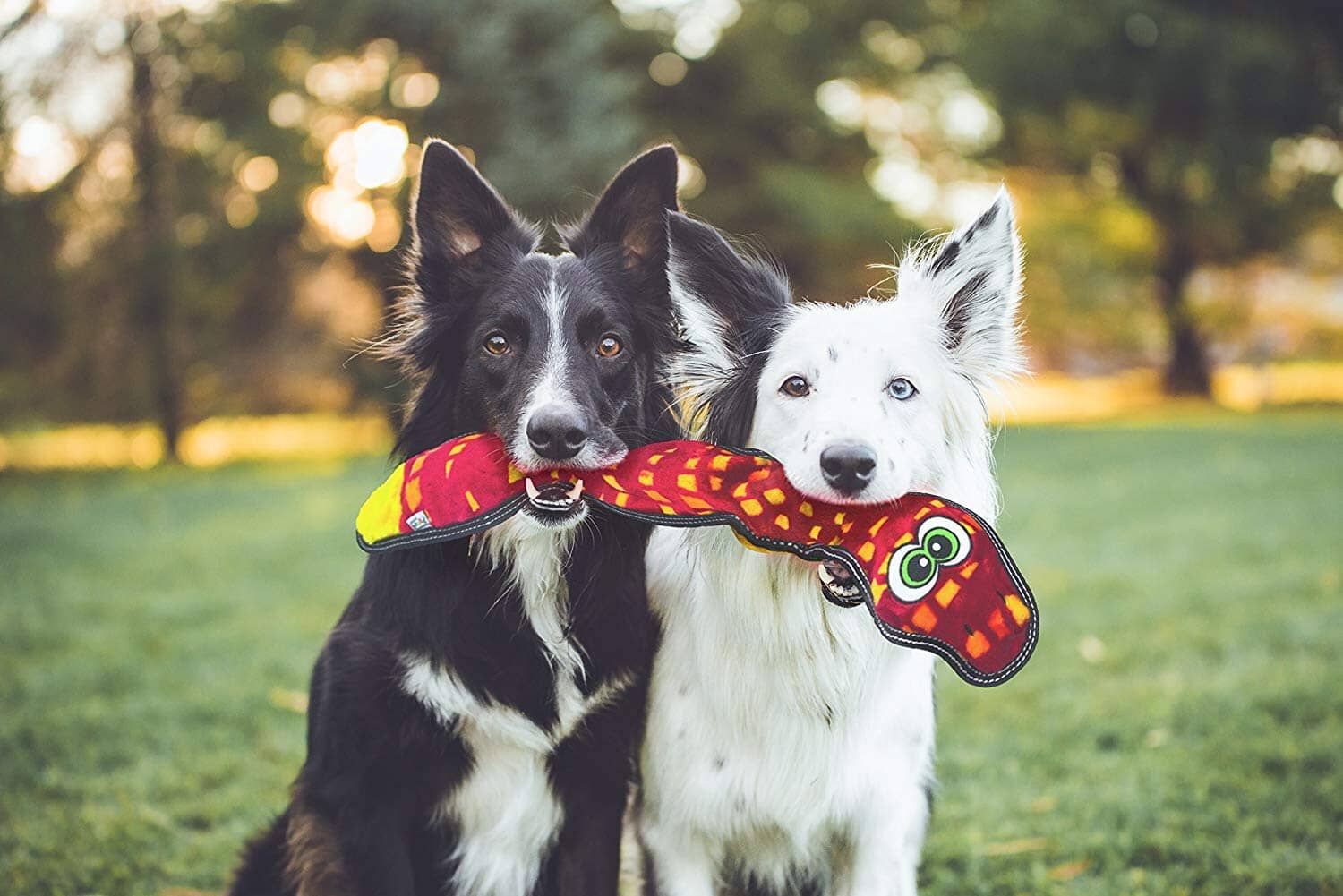 Outward Hound Tough Seamz No-Stuffing Snake Crinkle and Squeak Soft Dog Toy - Red - Large - Image 3