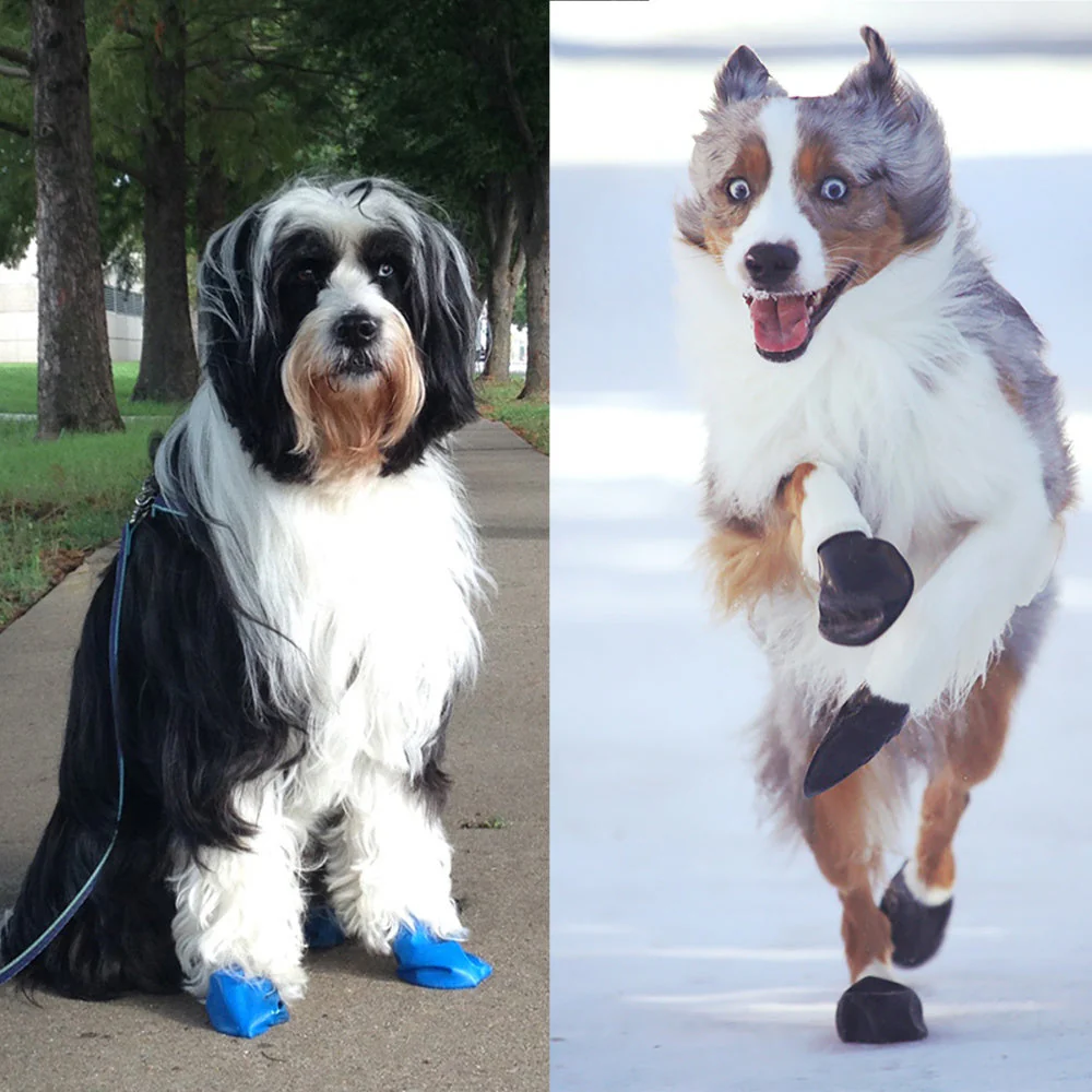 Pawz Black Dog Boots - Image 2