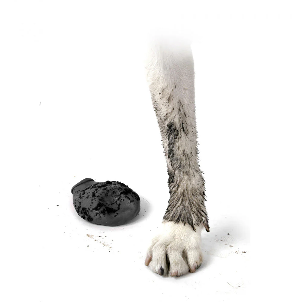 Pawz Black Dog Boots - Image 4