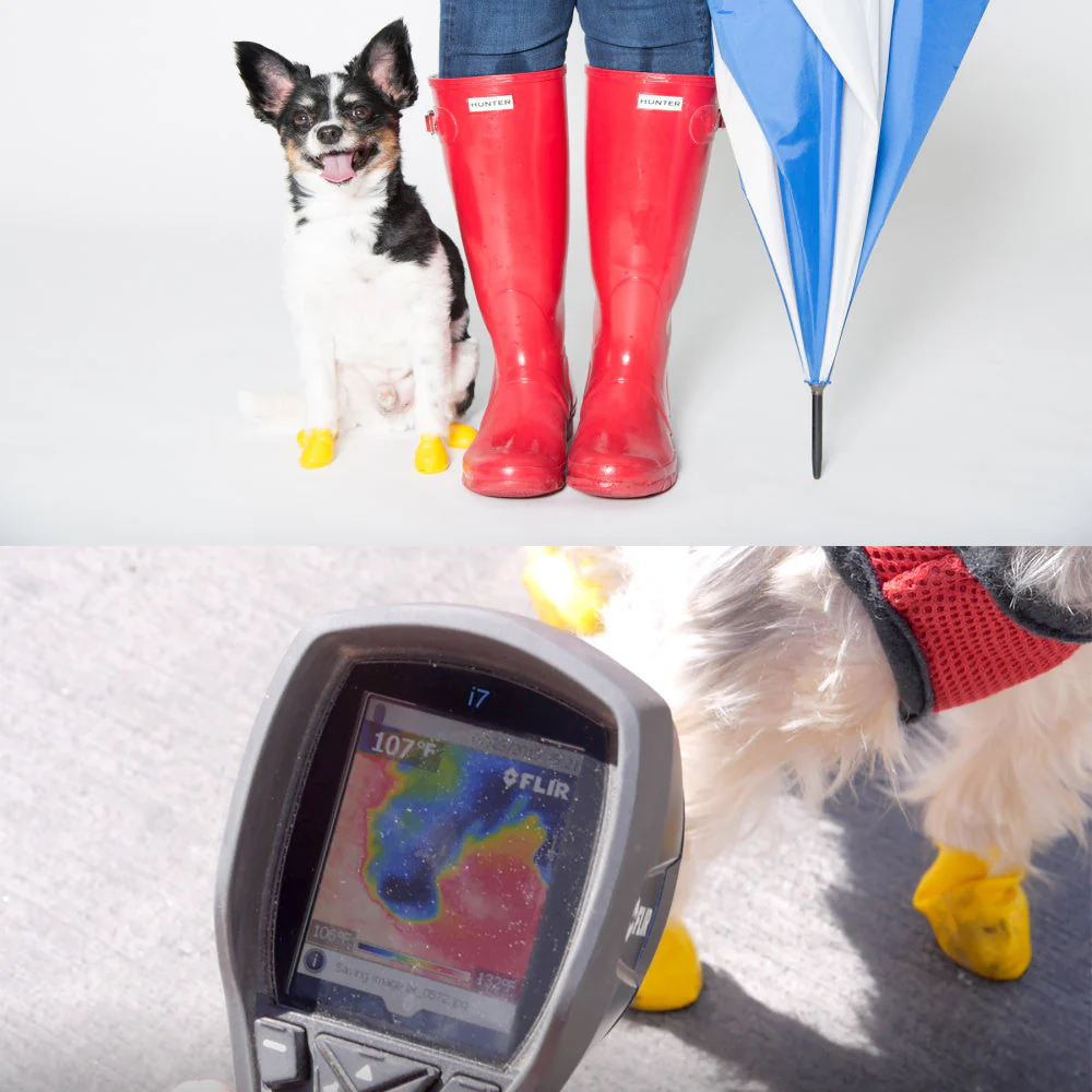 Pawz Black Dog Boots - Image 6
