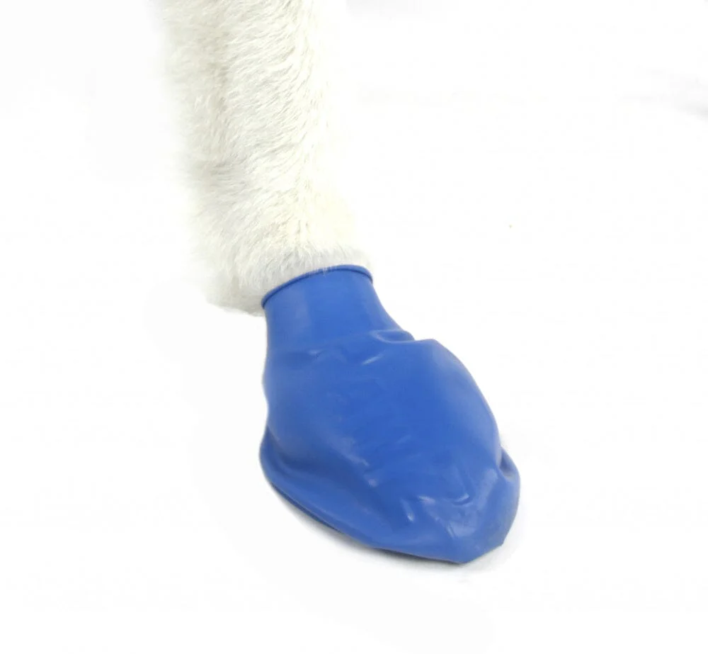 Pawz Waterproof Dog Boots - Image 11