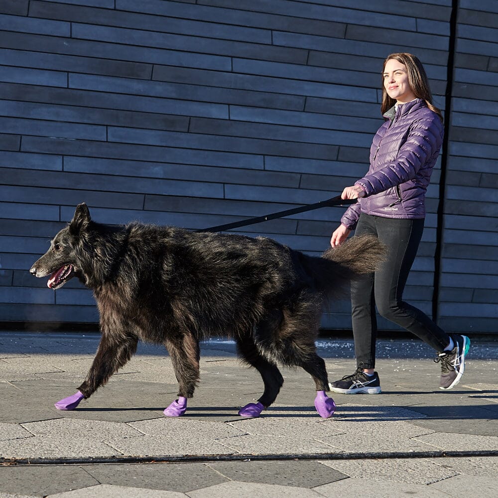 Pawz Waterproof Dog Boots - Image 16