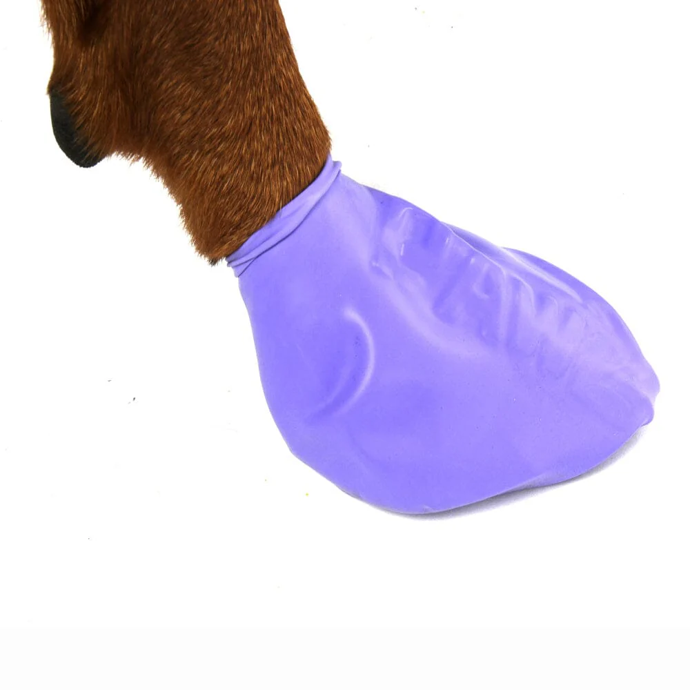 Pawz Waterproof Dog Boots - Image 8