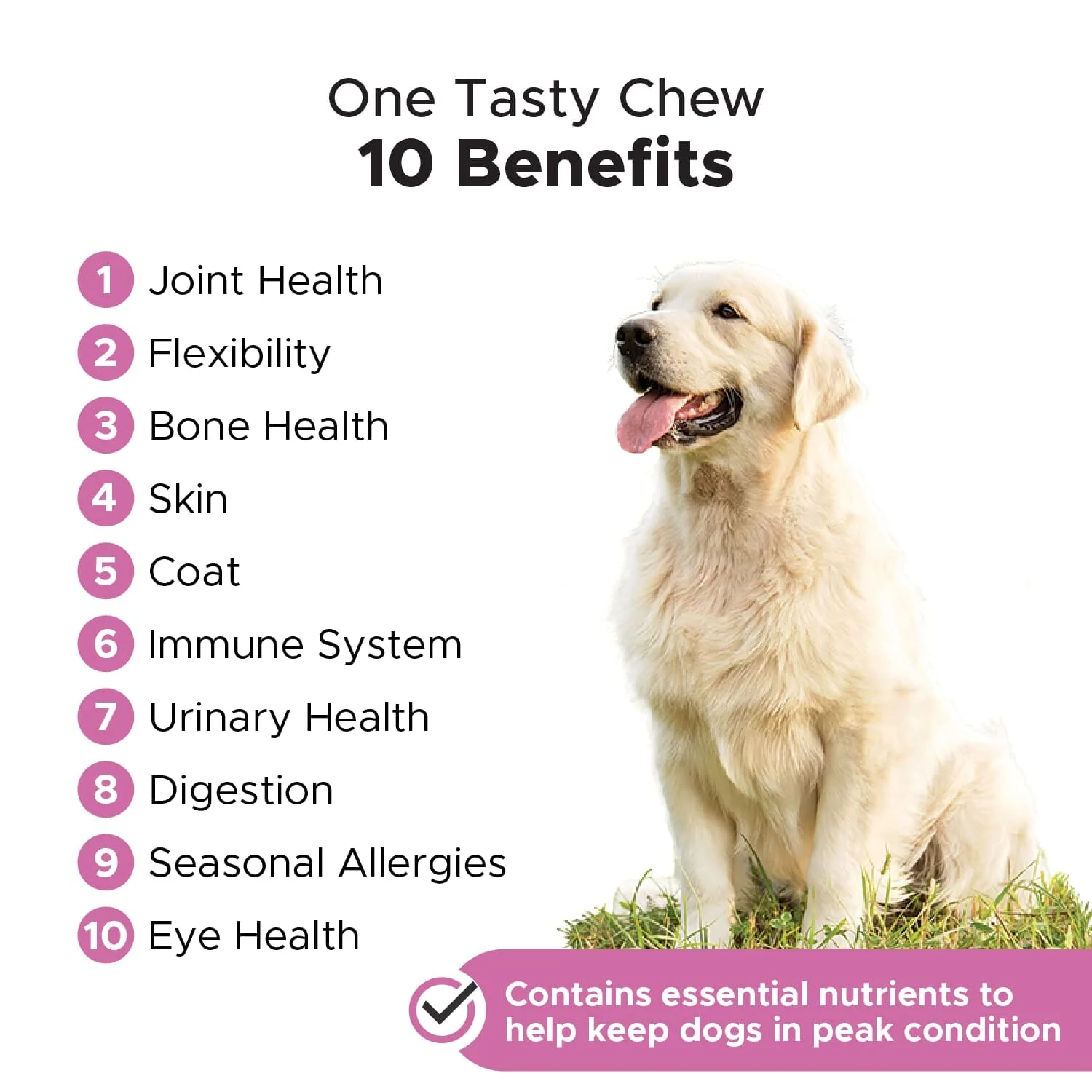 Pet Honesty 10-fin-1 Daily Multi-Vitamin with Glucosomine Chewy Dog Supplements - 90 Count - 9.5 Oz - Image 3
