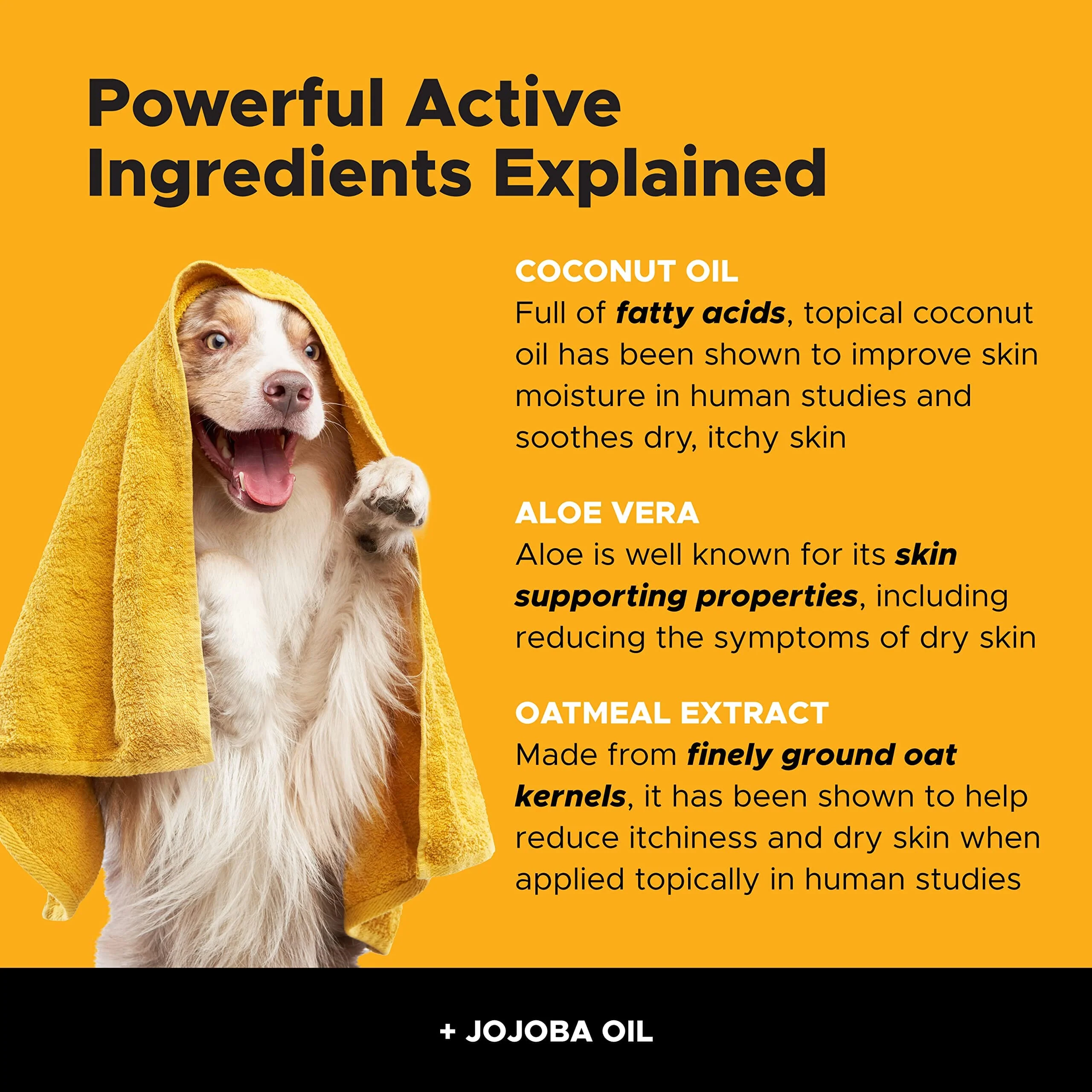 Pet Honesty Allergy Anti-Itch Cat and Dog Shampoo - 16 Oz - Image 4