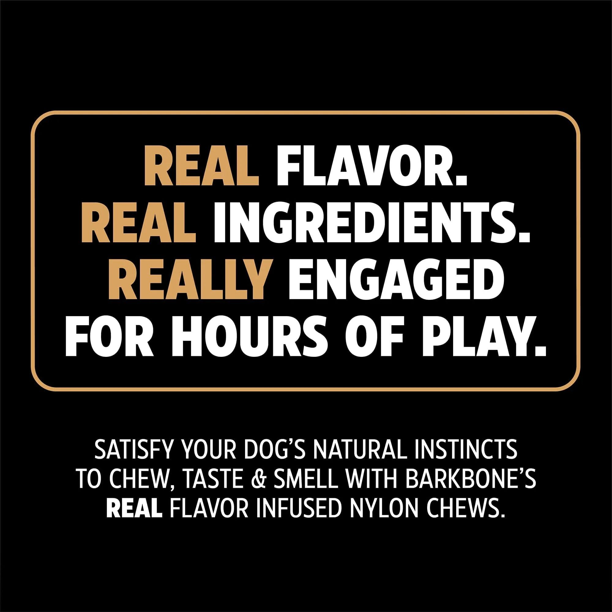 Pet Qwerks Barkbone Zombie Flavored Fetch and Chew Dog Toy - Bacon - Large - Image 3