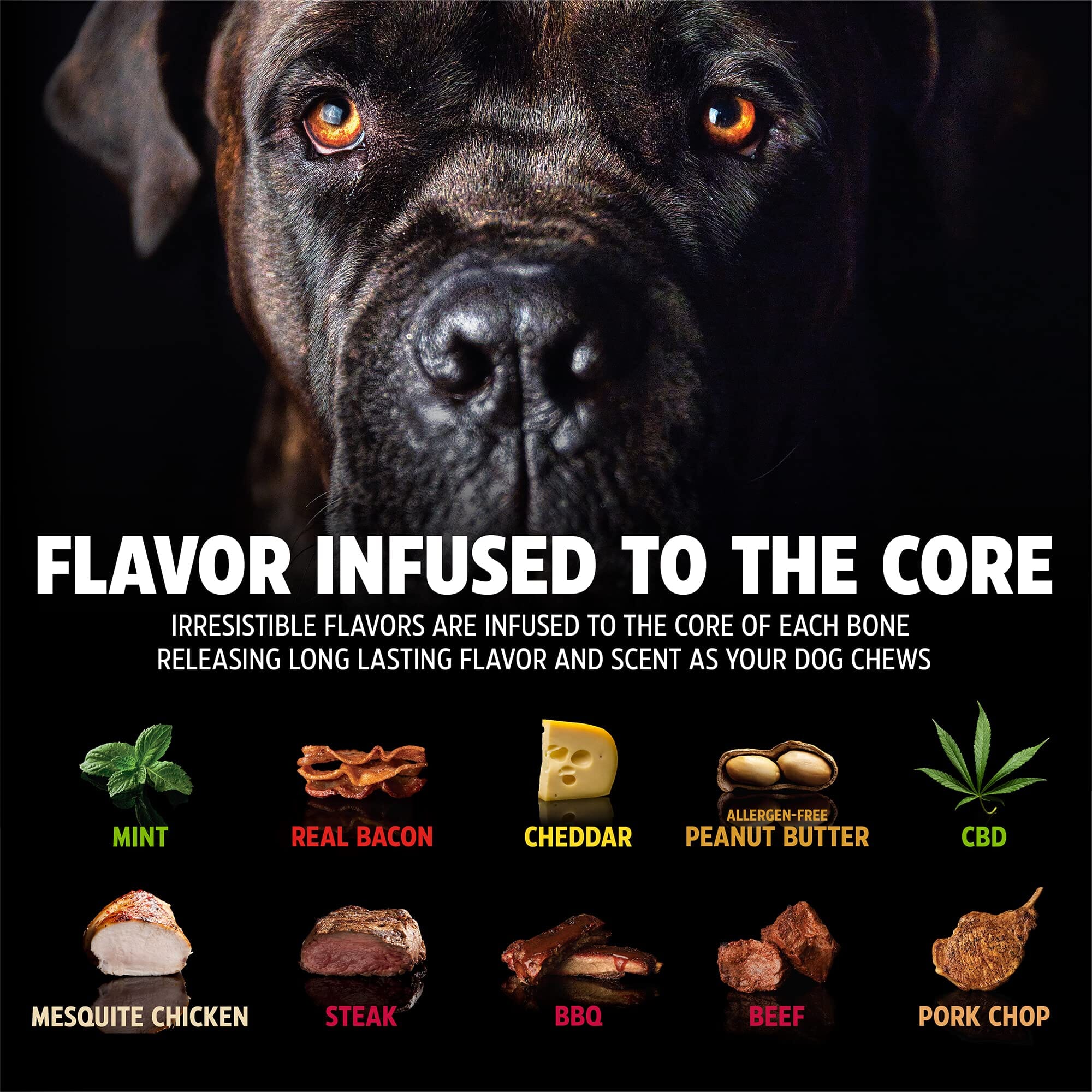 Pet Qwerks Barkbone Zombie Flavored Fetch and Chew Dog Toy - Bacon - Large - Image 4