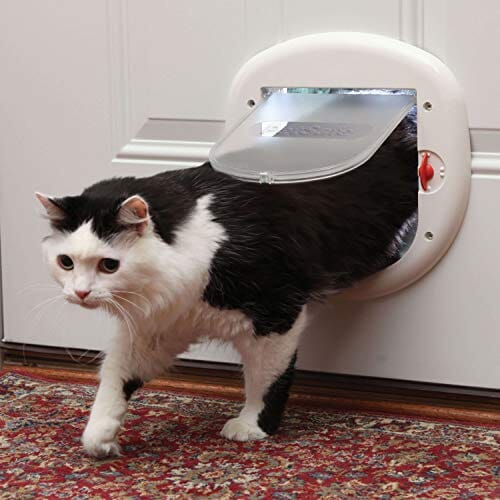 Petsafe 4-Way Locking Big Cat Door - White - Large