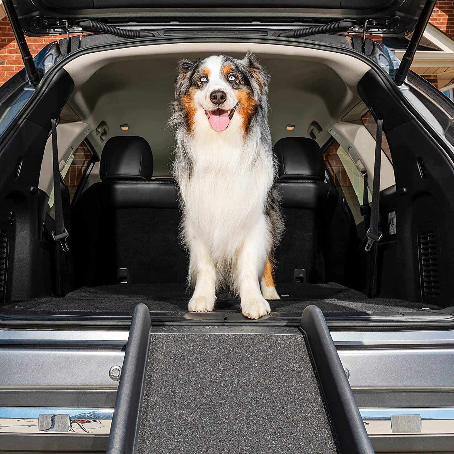 Petsafe Happy Ride Folding Pet Ramp - Black - 62 X 16 In - Image 2