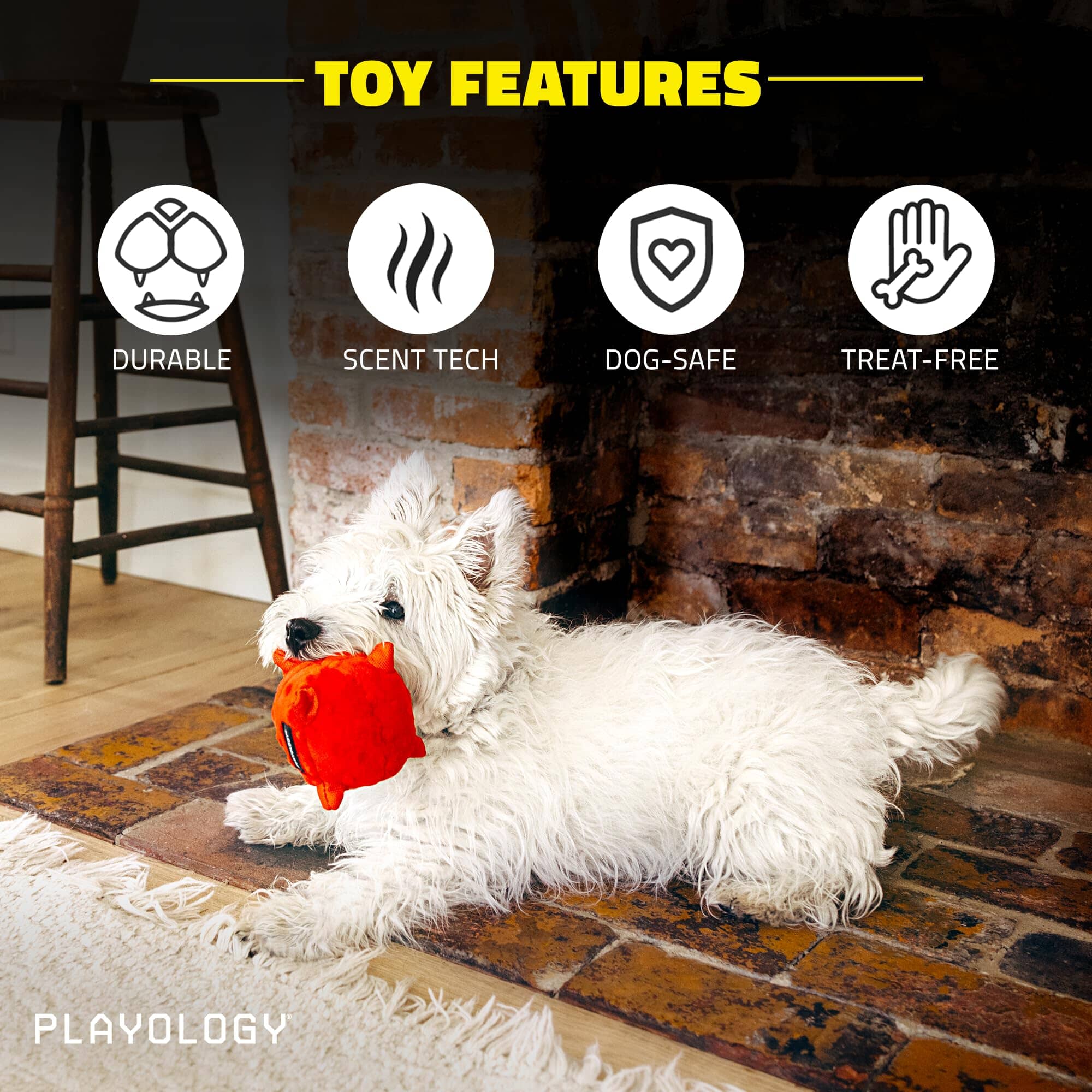 Playology Beef Scented Sensory Ball Squeak and Plush Puppy Dog Toy with Encapsiscent Technology - Small - Image 3