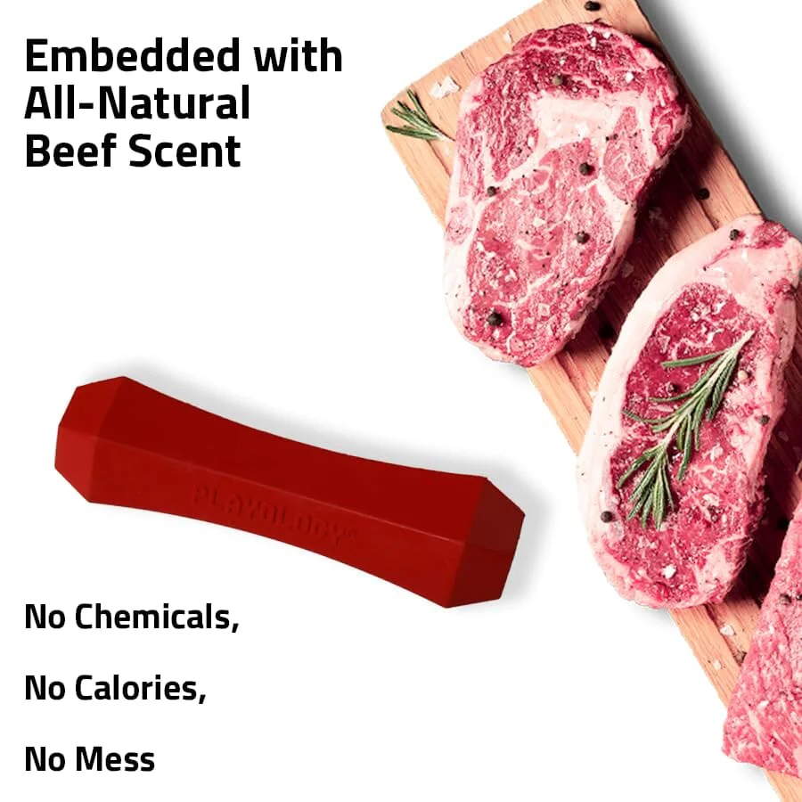 Playology Beef Scented Squeaky Chew Stick Floating Rubber Dog Toy with Encapsicent Tech - Medium - Image 3
