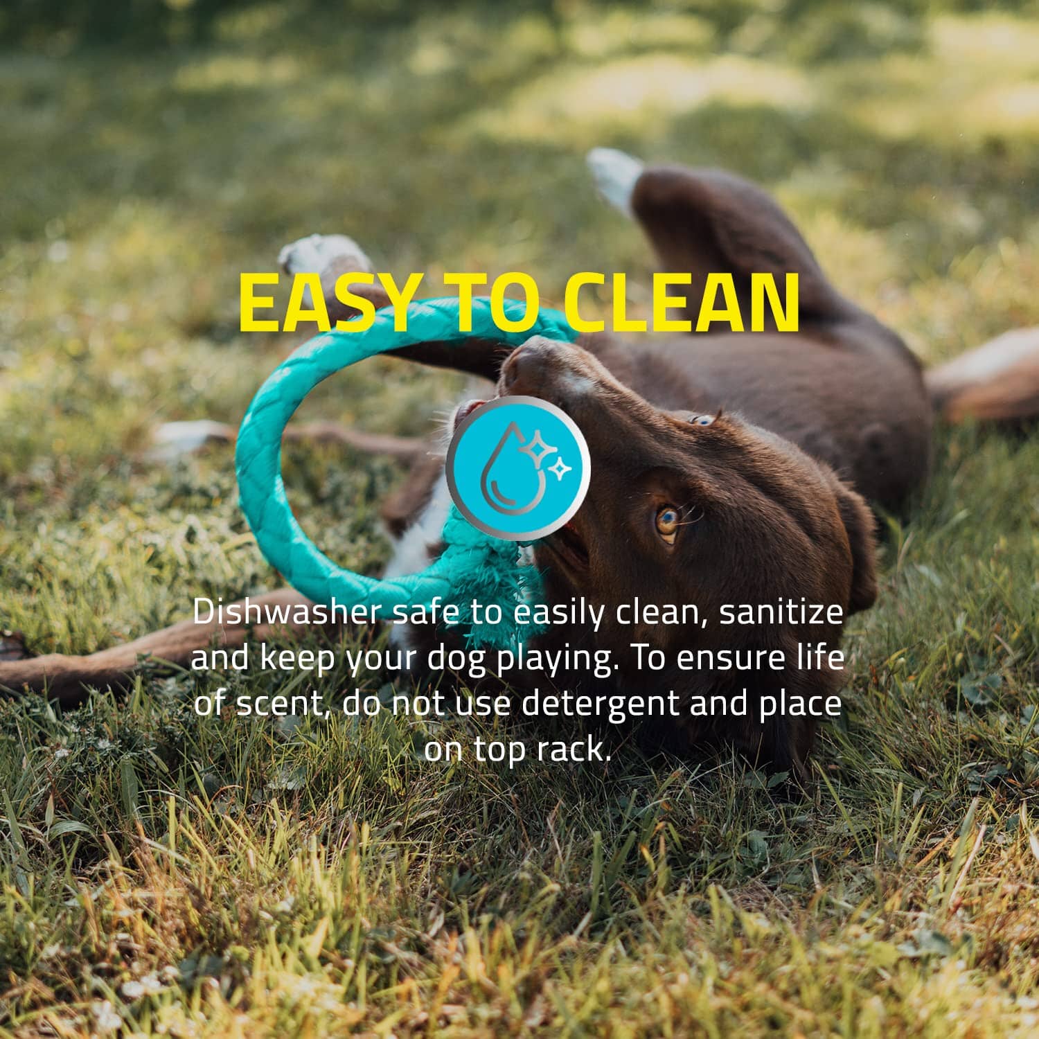 Playology Chicken Scented Dri-Tech Ring Dog Toy with Encapsiscent Technology - Large - Image 4