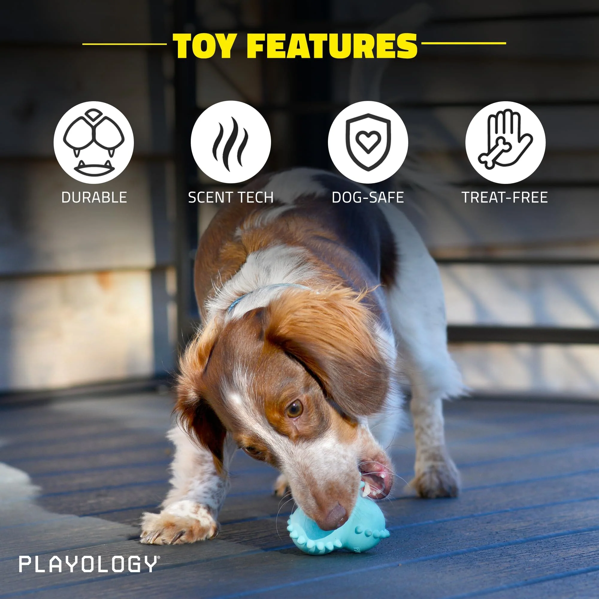 Playology Peanut Butter Scented Teething Bounce Ball Rubber Puppy Dog Toy with Encapsiscent Tech - Large - Image 3