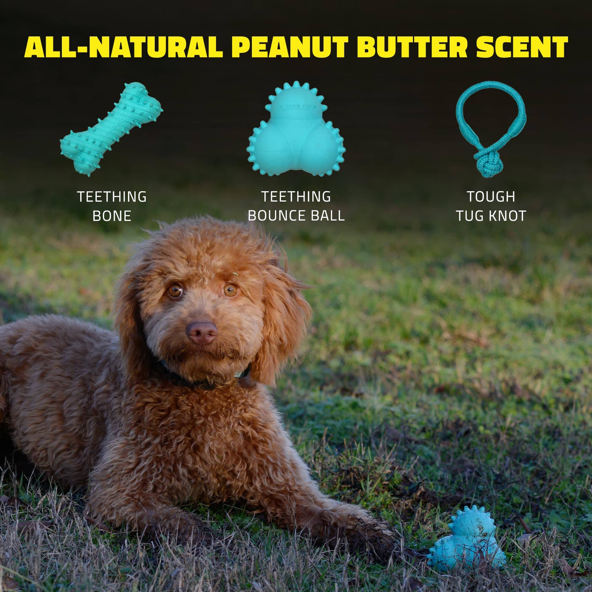 Playology Peanut Butter Scented Teething Bounce Ball Rubber Puppy Dog Toy with Encapsiscent Tech - Large - Image 5
