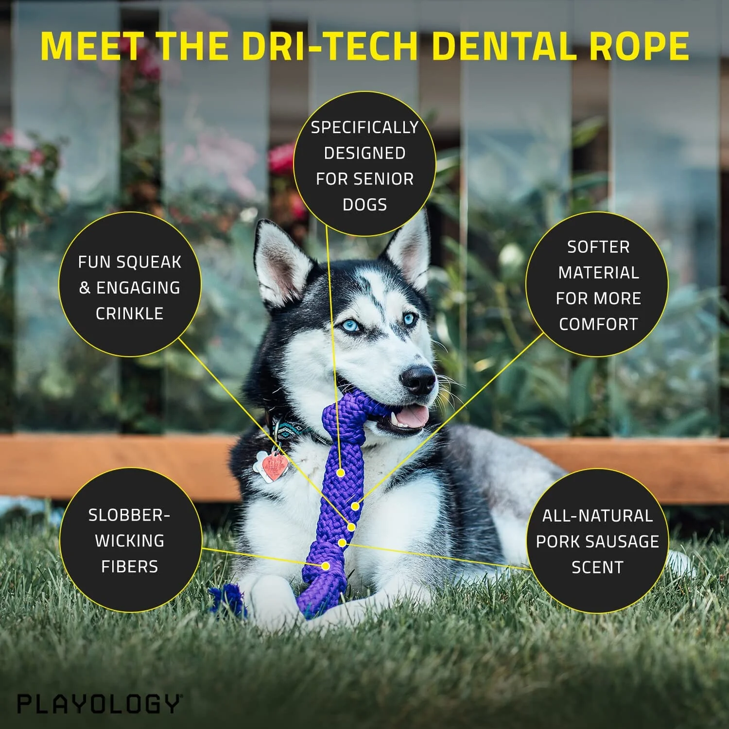 Playology Pork Scented Dri-Tech Dental Rope Dog Toy with Encapsiscent Technology - Medium - Image 2