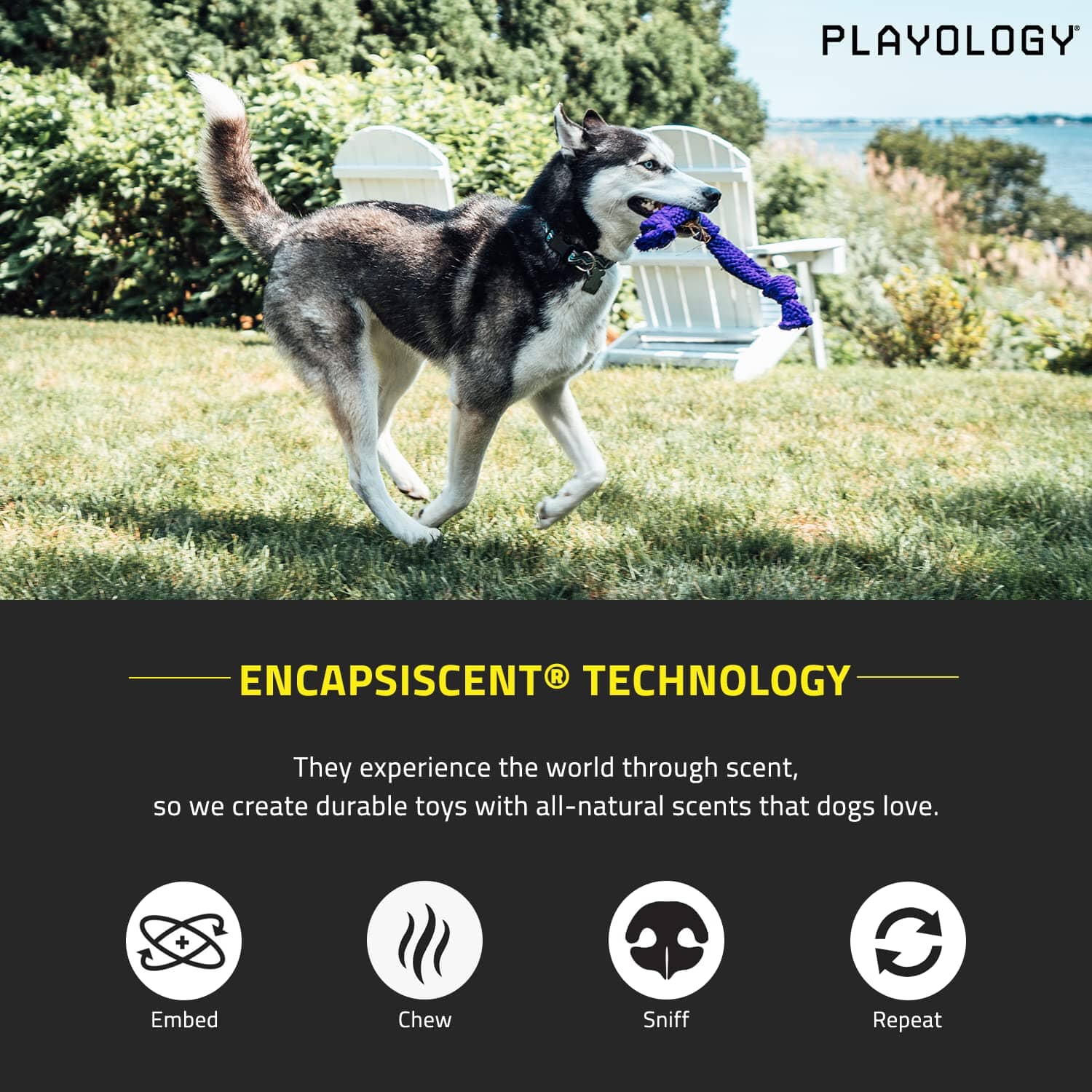 Playology Pork Scented Dri-Tech Dental Rope Dog Toy with Encapsiscent Technology - Medium - Image 3