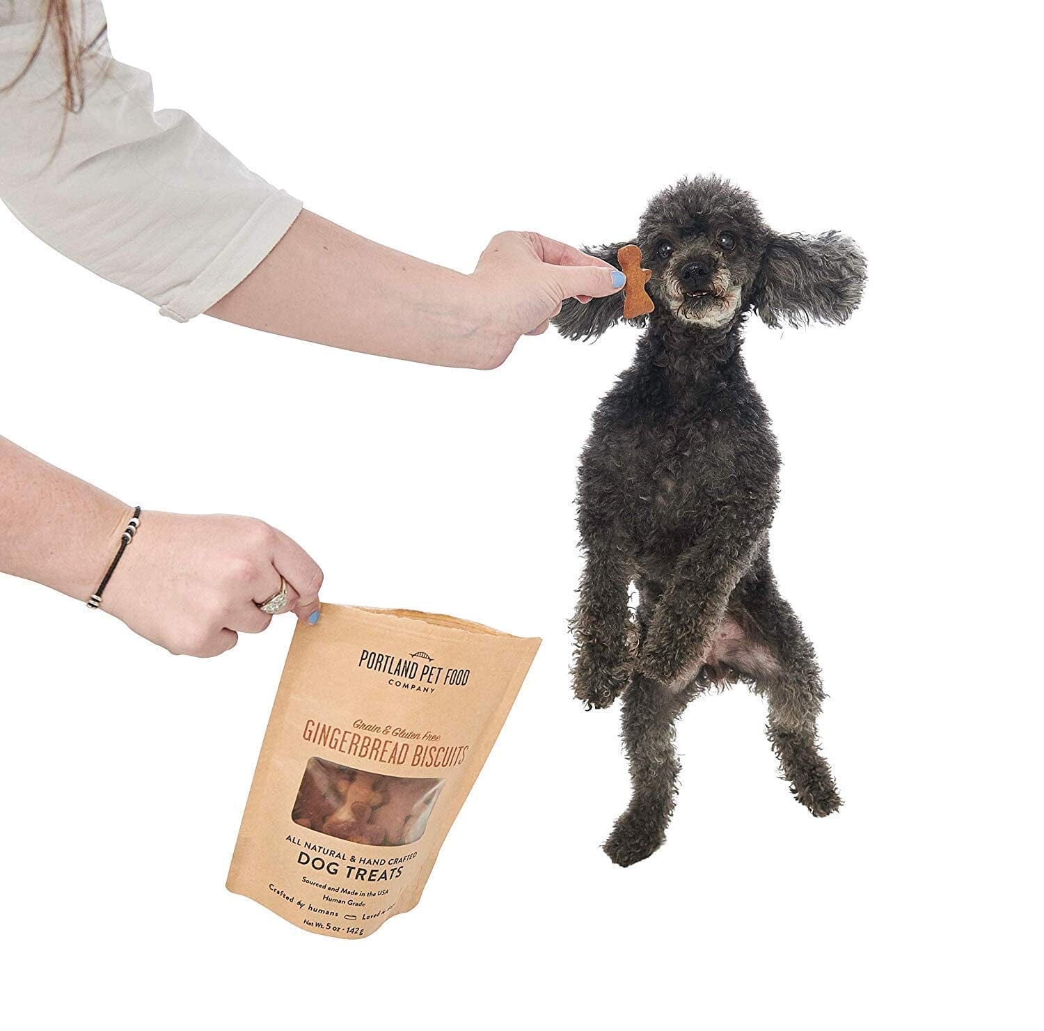 Portland Pet Food Grain-Free Gingerbread Crunchy Dog Biscuits Treats - 5 Oz - Image 3